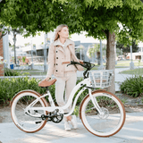 E-Bike Model Y